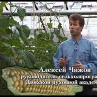 Ogorod.UA - Технология доктора Миттлайдера - часть 7