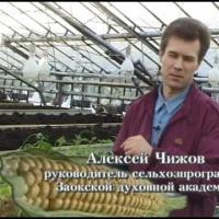 Ogorod.UA - Технология доктора Миттлайдера - часть 18