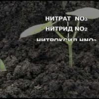 Ogorod.UA - Технология доктора Миттлайдера - часть 16