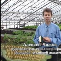 Ogorod.UA - Технология доктора Миттлайдера - часть 2