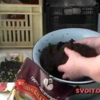 Лучшие (томаты) помидоры - Заготовка земли