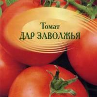 помидоры чери выращивание