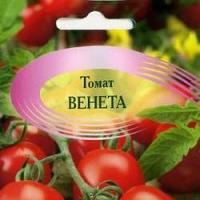 помидоры сорта толстой