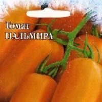 выращивание помидор в беларуси