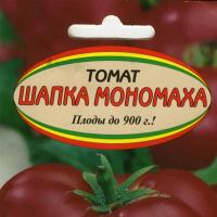 выращивание помидоров в грунте
