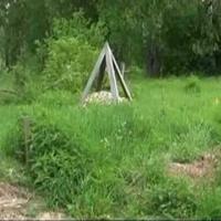 Помидоры и перцы, технология выращивания.