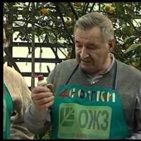 Начало выращивания рассады помидоров с ОЖЗ
